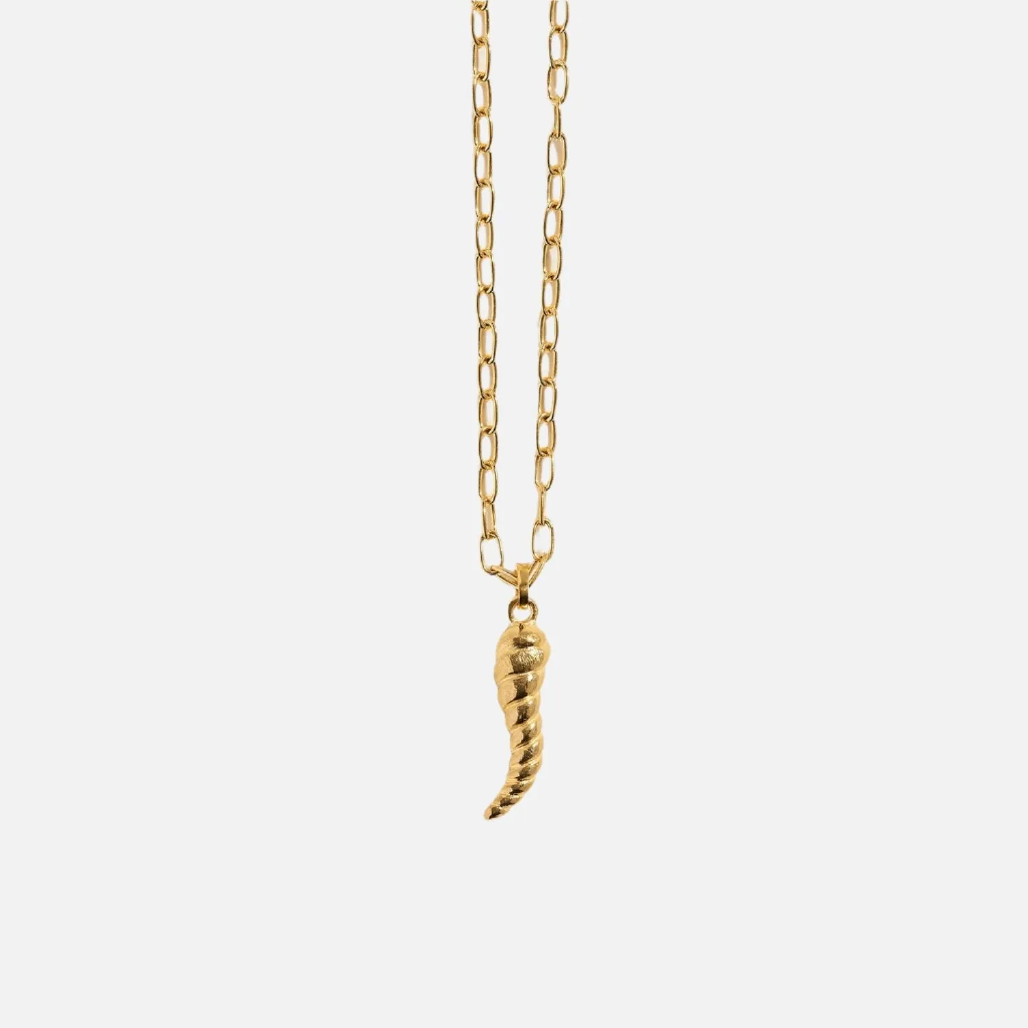 Horn Pendant
