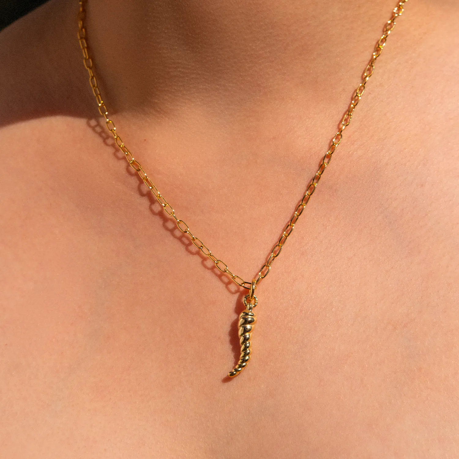 Horn Pendant