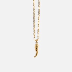 Horn Pendant